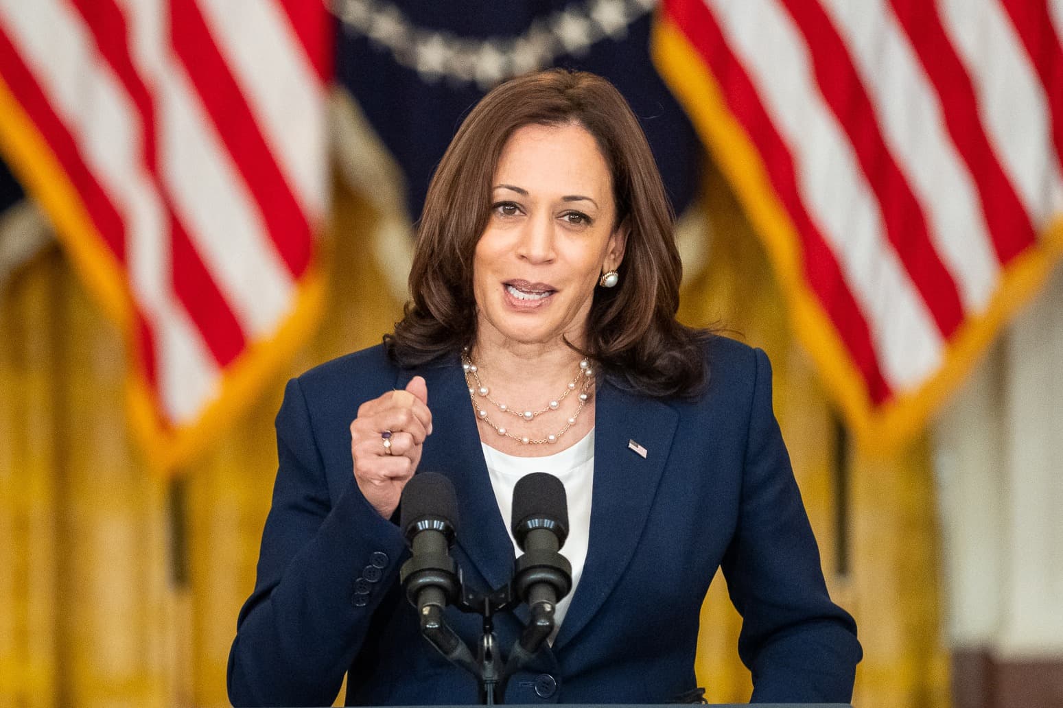 Joe Biden and Kamala Harris (White House Flickr)